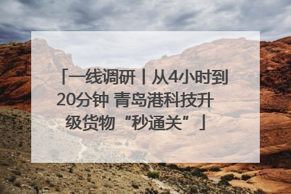 一线调研丨从4小时到20分钟 青岛港科技升级货物“秒通关”